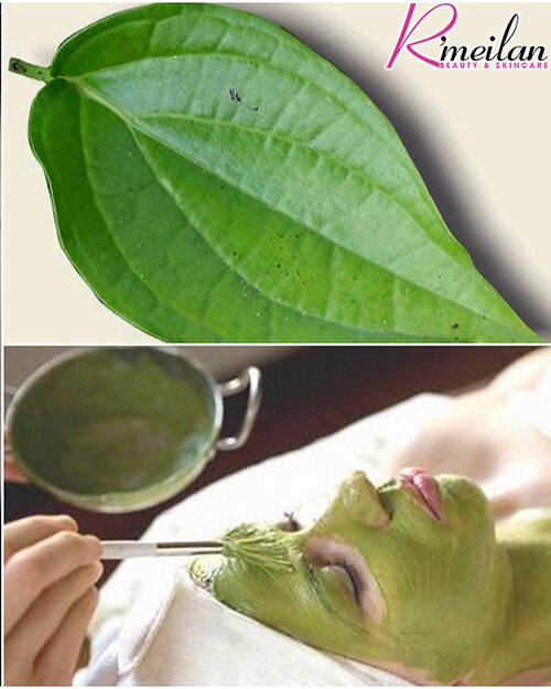 Điều trị nám bằng lá trầu không, khó tin nhỉ?