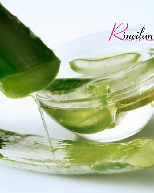 Trị sẹo rỗ tại nhà với lô hội chỉ 5 phút
